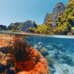 Las 5 piscinas naturales más espectaculares y menos obvias del mundo en el 2026 »